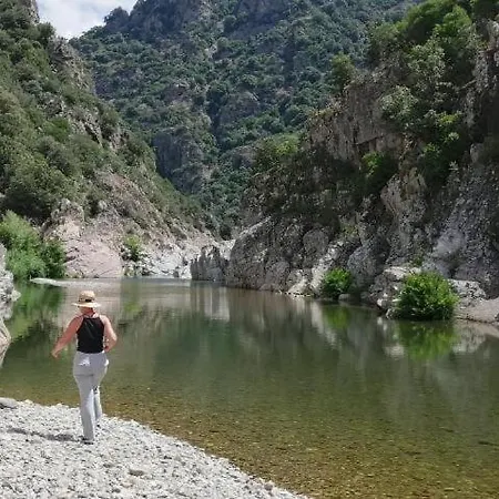 New! La Ginestra,casa Vacanze Bifamiliare In Montagna-seulo Sardegna Appartamento *