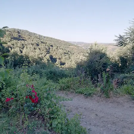 New! La Ginestra,casa Vacanze Bifamiliare In Montagna-seulo Sardegna *