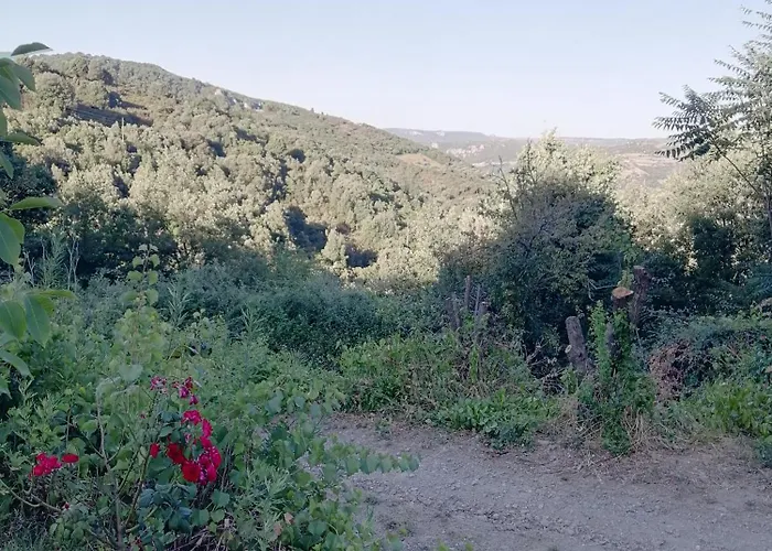 New! La Ginestra,casa Vacanze Bifamiliare In Montagna-seulo Sardegna *